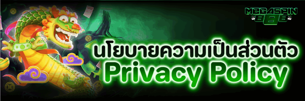 นโยบายความเป็นส่วนตัว